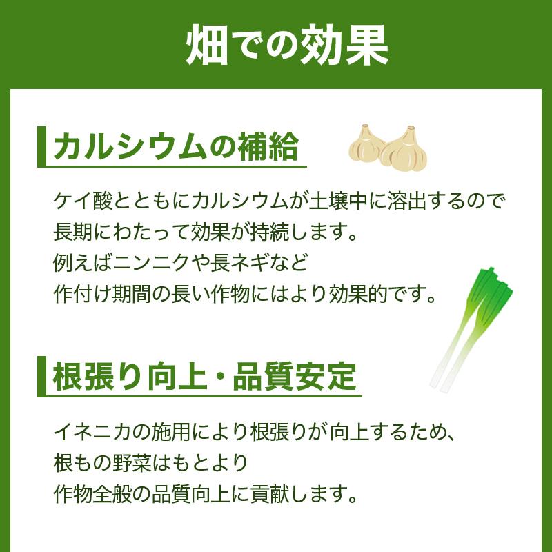 イネニカ 20kg 10袋セット 耐倒状性 水稲 稲作 稲 玉ねぎ タマネギ ネギ 野菜 土壌改良 肥料 覆土 追肥 ケイカル ケイ酸カルシウム K物D 個人宅配送不可 |  | 12