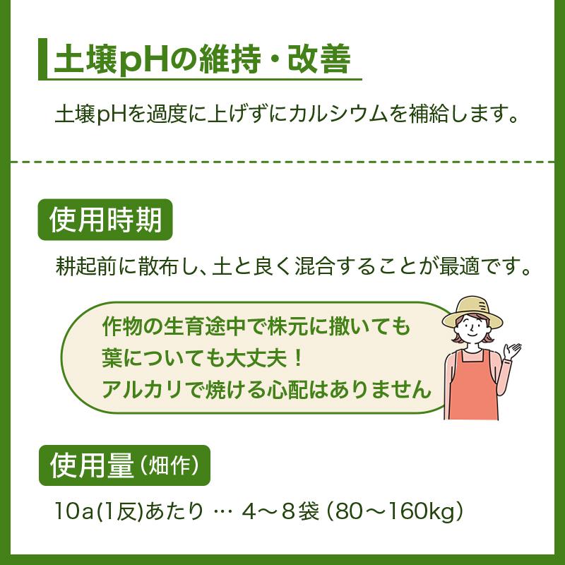イネニカ 20kg 10袋セット 耐倒状性 水稲 稲作 稲 玉ねぎ タマネギ ネギ 野菜 土壌改良 肥料 覆土 追肥 ケイカル ケイ酸カルシウム K物D 個人宅配送不可 |  | 13