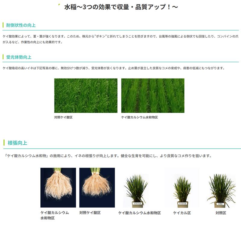イネニカ 20kg 10袋セット 耐倒状性 水稲 タマネギ 野菜 土壌改良 肥料 覆土 ケイカル K物D 個人宅配送不可 |  | 02