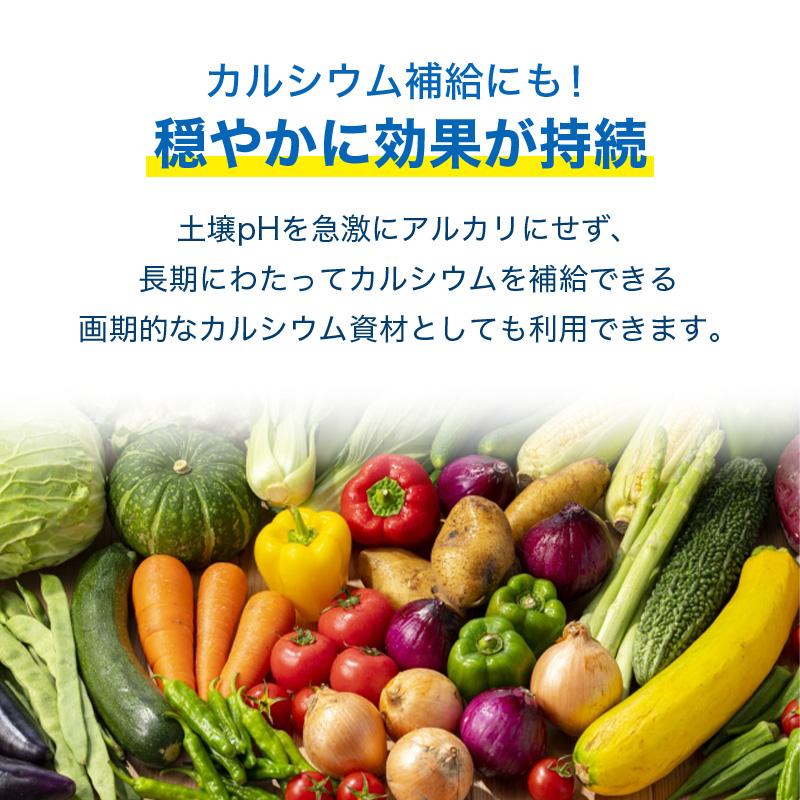 イネニカ 20kg 10袋セット 耐倒状性 水稲 稲作 稲 玉ねぎ タマネギ ネギ 野菜 土壌改良 肥料 覆土 追肥 ケイカル ケイ酸カルシウム K物D 個人宅配送不可 |  | 04