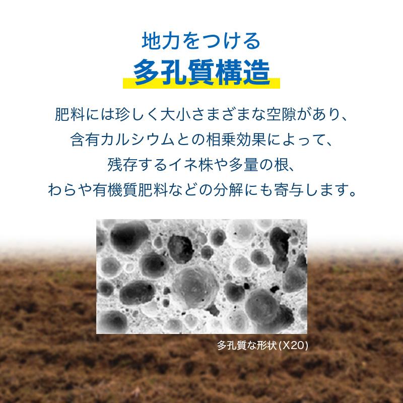 イネニカ 20kg 10袋セット 耐倒状性 水稲 稲作 稲 玉ねぎ タマネギ ネギ 野菜 土壌改良 肥料 覆土 追肥 ケイカル ケイ酸カルシウム K物D 個人宅配送不可 |  | 05