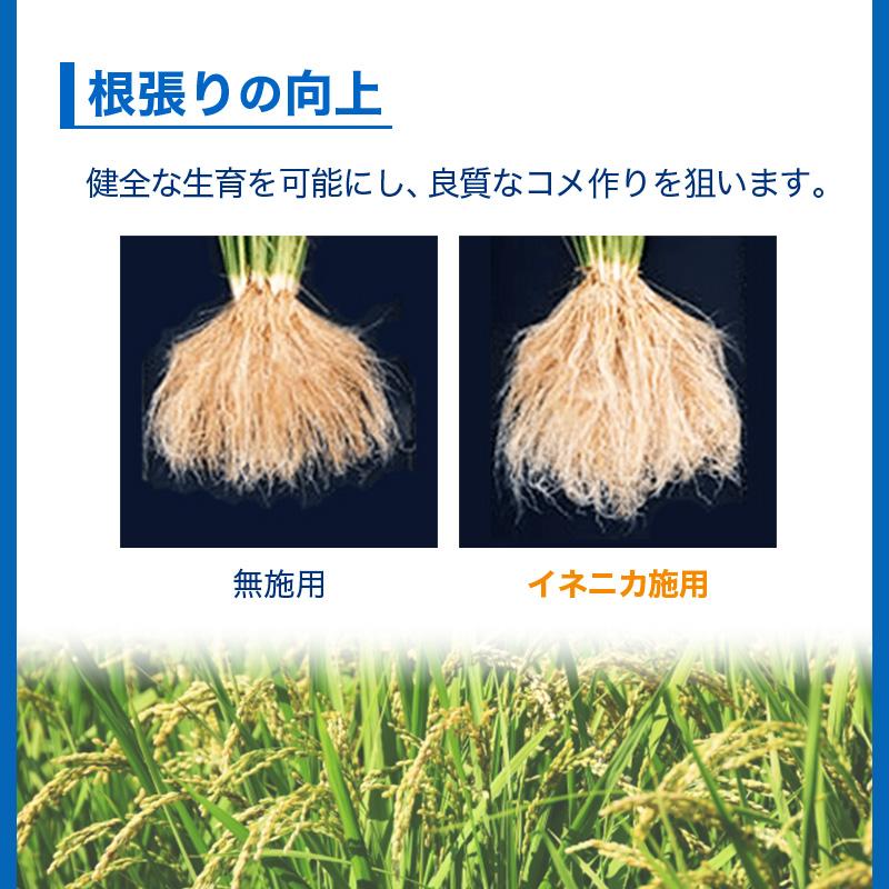 イネニカ 20kg 30袋セット 耐倒状性 水稲 稲作 稲 玉ねぎ タマネギ ネギ 野菜 土壌改良 肥料 覆土 追肥 ケイカル ケイ酸カルシウム K物D 個人宅配送不可 |  | 10