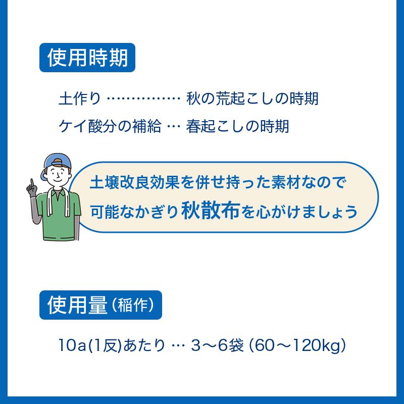 イネニカ 20kg 30袋セット 耐倒状性 水稲 稲作 稲 玉ねぎ タマネギ ネギ 野菜 土壌改良 肥料 覆土 追肥 ケイカル ケイ酸カルシウム K物D 個人宅配送不可 |  | 11