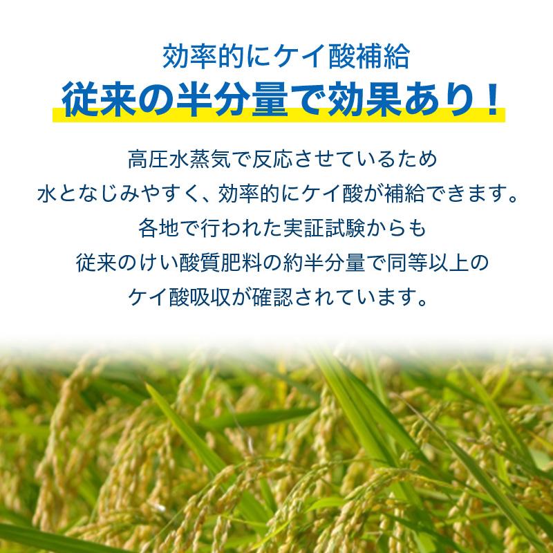 イネニカ 20kg 30袋セット 耐倒状性 水稲 稲作 稲 玉ねぎ タマネギ ネギ 野菜 土壌改良 肥料 覆土 追肥 ケイカル ケイ酸カルシウム K物D 個人宅配送不可 |  | 03