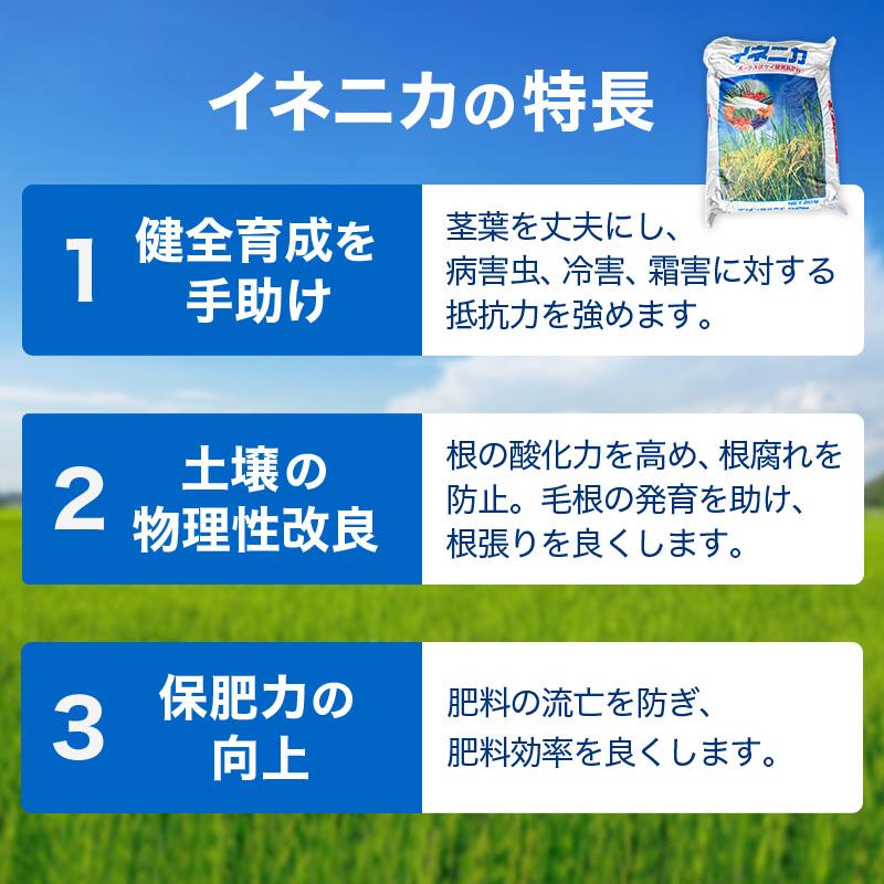 イネニカ 20kg 30袋セット 耐倒状性 水稲 稲作 稲 玉ねぎ タマネギ ネギ 野菜 土壌改良 肥料 覆土 追肥 ケイカル ケイ酸カルシウム K物D 個人宅配送不可 |  | 06