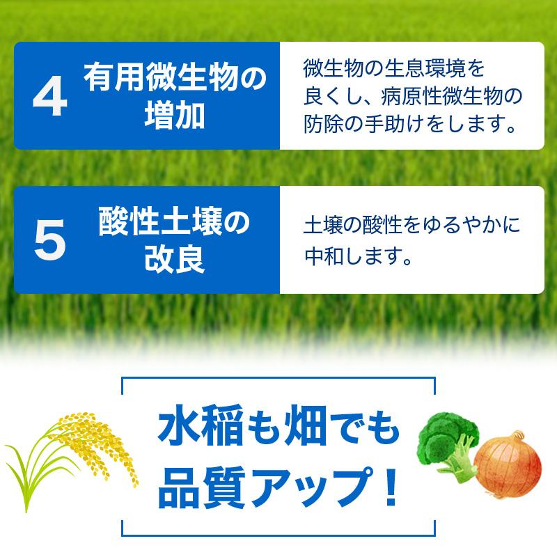 イネニカ 20kg 30袋セット 耐倒状性 水稲 稲作 稲 玉ねぎ タマネギ ネギ 野菜 土壌改良 肥料 覆土 追肥 ケイカル ケイ酸カルシウム K物D 個人宅配送不可 |  | 07