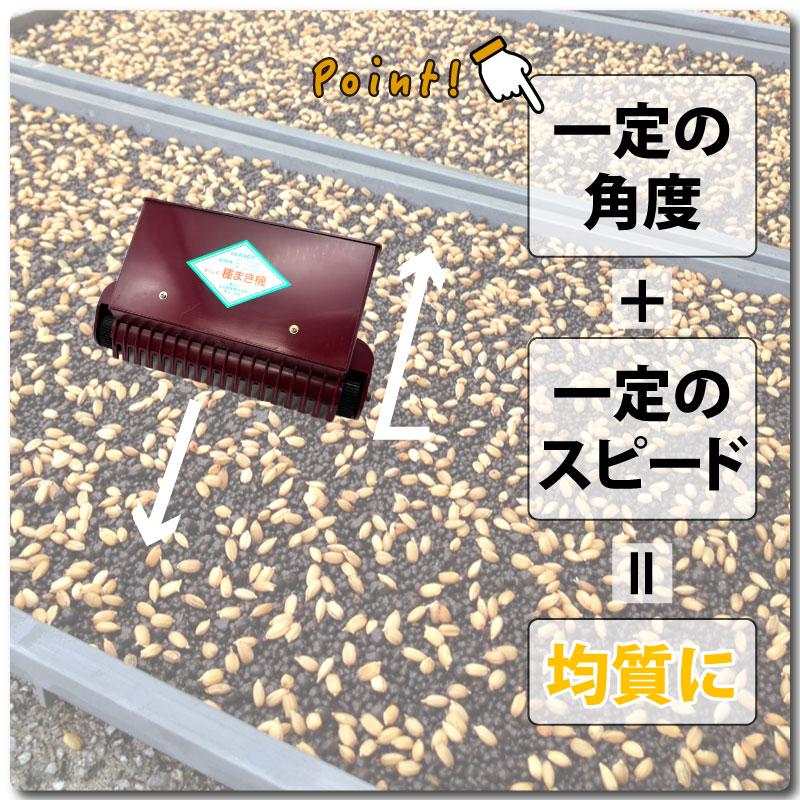 みくに式 種まき機 改良型 播種機 ガードレール付 三国式 水稲 水田 水稲播種機 レール式 園芸 園芸用品 園芸資材 農業 農業用品 農業資材 たねまき 日A DZ |  | 06