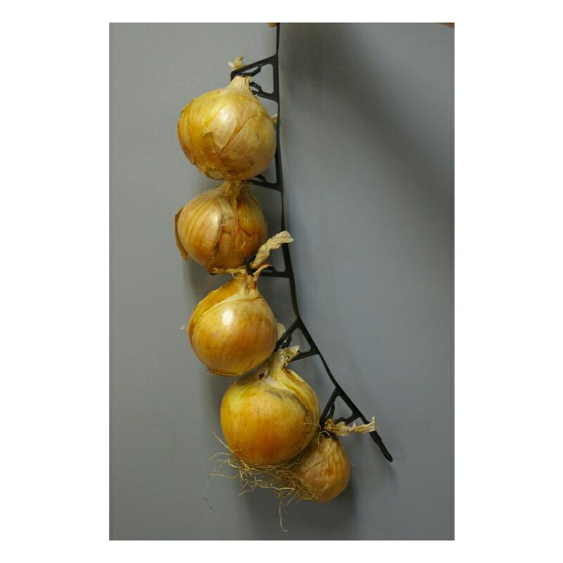 100本 柿アーチ 玉ねぎ吊るし 1本に5個吊るせる 延長つなぎワンタッチ式 ミネ H |  | 01