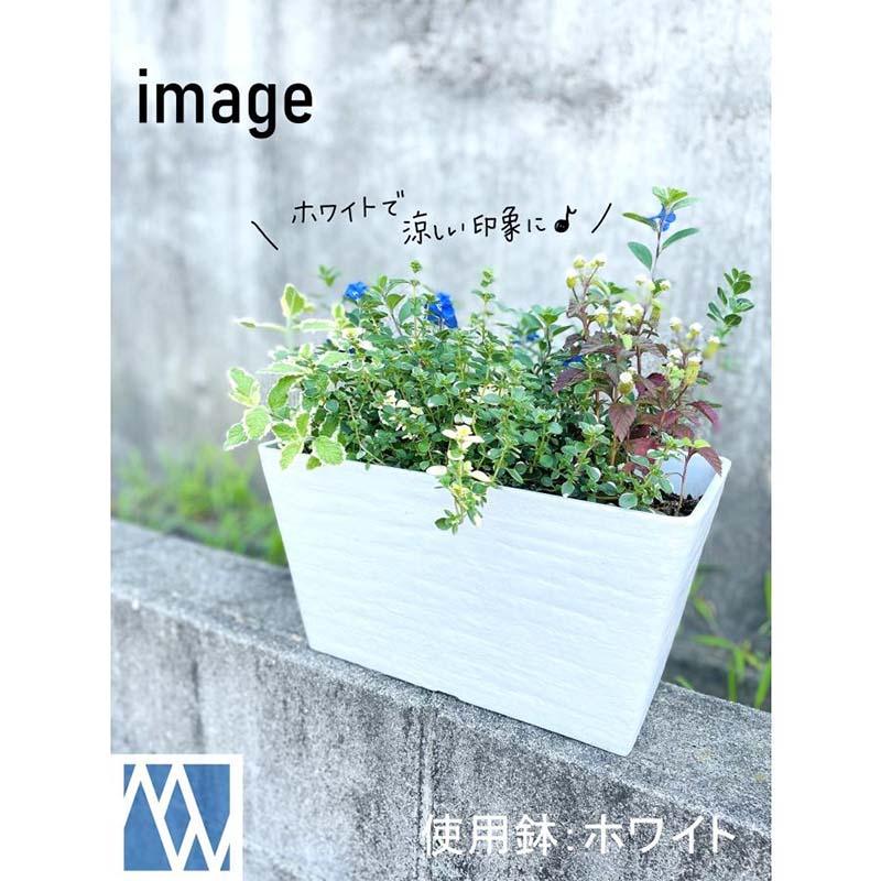 32個 #1467 プラスチックポット セラアート プランター 穴あり 中 白 外径302mm 高さ160mm 鉢 明和 代引不可 |  | 03