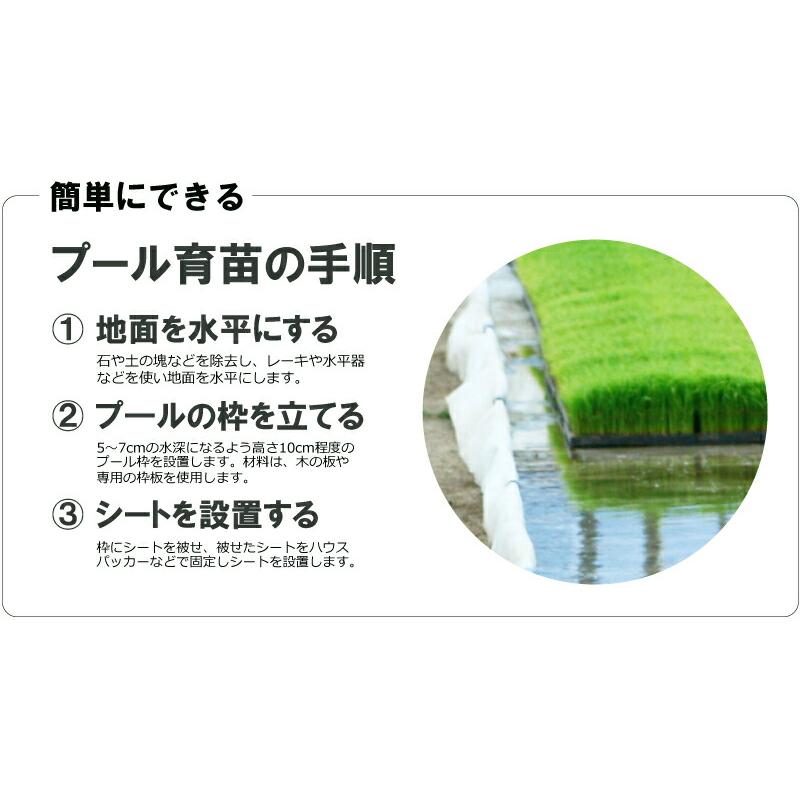 丈夫で水漏れしない プール育苗シート 遮水シート 厚さ0.25mm×幅300cm×長さ30m プール育苗 プールシート 幅3.0m 厚手 遮水 プール育苗用 シート 水稲 苗 コM D｜plusys｜06