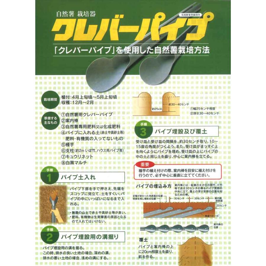 繰り返し使える 30本 クレバーパイプ 自然薯用 135cm 連作可能 自然薯栽培器 自然薯 じねんじょ 山芋 ヤマイモ 栽培 畑 家庭菜園 政田自然農園 タS 代引不可 |  | 02