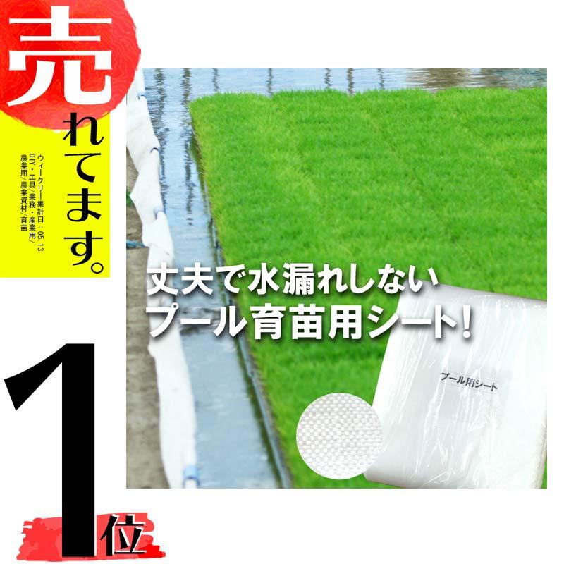 丈夫で水漏れしない カット品 プール育苗シート 遮水シート 厚さ0.25mm×幅300cm 1m単位カット品 プール育苗 プールシート 厚手 育苗 シート 水稲 苗 コMD | 