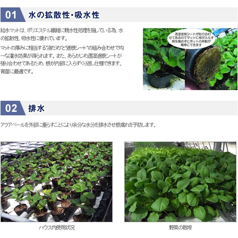 アクアベール 底面 給水マット SRG130 厚さ1.3mm 115cm×50m 遮根シート 吸水マット 貼合せ 防根 育苗 ベル開発 カ施 北海道不可 代引不可 |  | 01