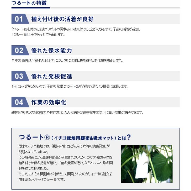 つるーと NWF300 2cm×8cm 10000個入 いちご 高設 栽培用 高 保水性 マット 苺 イチゴ 栽培 農業 農業資材 農業用品 ベル開発 カ施 北海道不可 代引不可 |  | 01