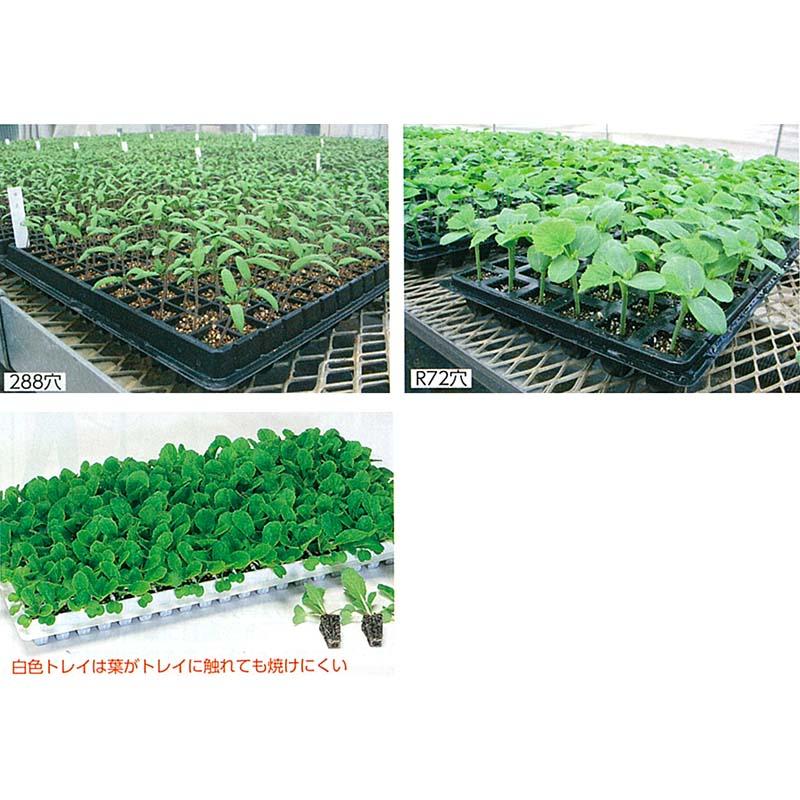 タキイ 根巻防止 ワンウェイ セルトレイ 白 288穴 12×24列 100枚入り 280×545mm プラグトレイ タS 代引不可 |  | 03