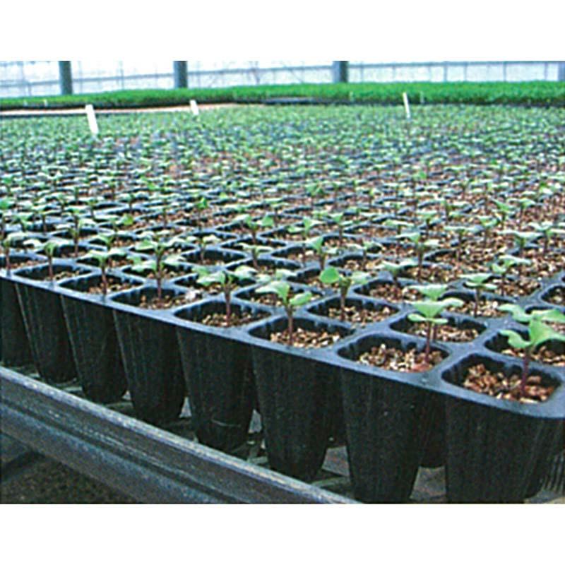 タキイ 根巻防止 セルトレイM型 ストロング 黒 128穴 8×16列 100枚入り 300×590mm プラグトレイ タSD |  | 01