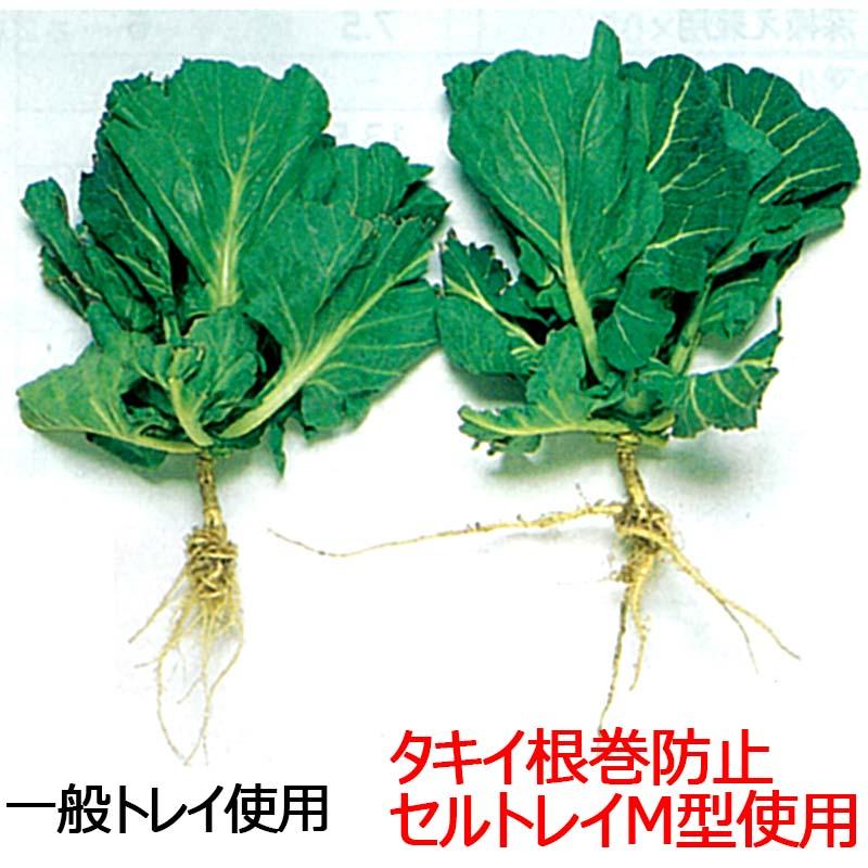 タキイ 根巻防止 セルトレイM型 白 200穴 10×20列 100枚入り 300×590mm 国産 プラグトレイ 苗 育苗 園芸 園芸用品 園芸資材 農業 農業資材 農業用品 タSD |  | 03