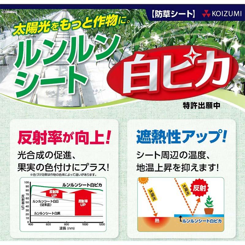 ルンルンシート 白ピカ 反射率 向上 遮熱性 アップ 反射効果のある 防草シート 幅50cm×100m 小泉製麻 個人宅配送不可 代引不可 |  | 01