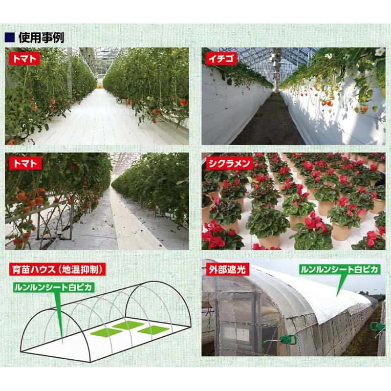 ルンルンシート 白ピカ 反射率 向上 遮熱性 アップ 反射効果のある 防草シート 幅50cm×100m 小泉製麻 個人宅配送不可 代引不可 |  | 03