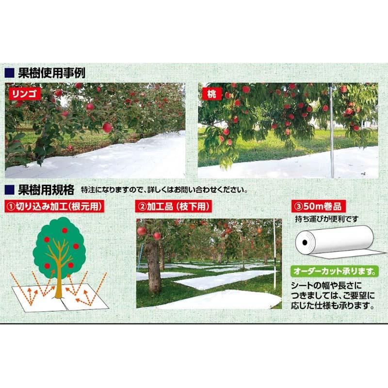 ルンルンシート 白ピカ 反射率 向上 遮熱性 アップ 反射効果のある 防草シート 幅50cm×100m 小泉製麻 個人宅配送不可 代引不可 |  | 04