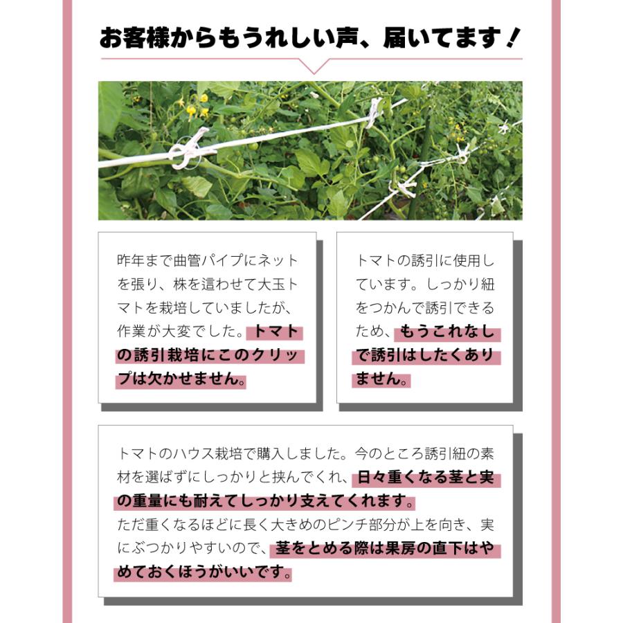 240個 くきたっちアルファ S パープル 薄紫 AS-P240 細紐用 紐誘引クリップ 誘引クリップ 誘引資材 誘引器具 誘引 クリップ キュウリ トマト 栽培 シーム タS DZ |  | 01