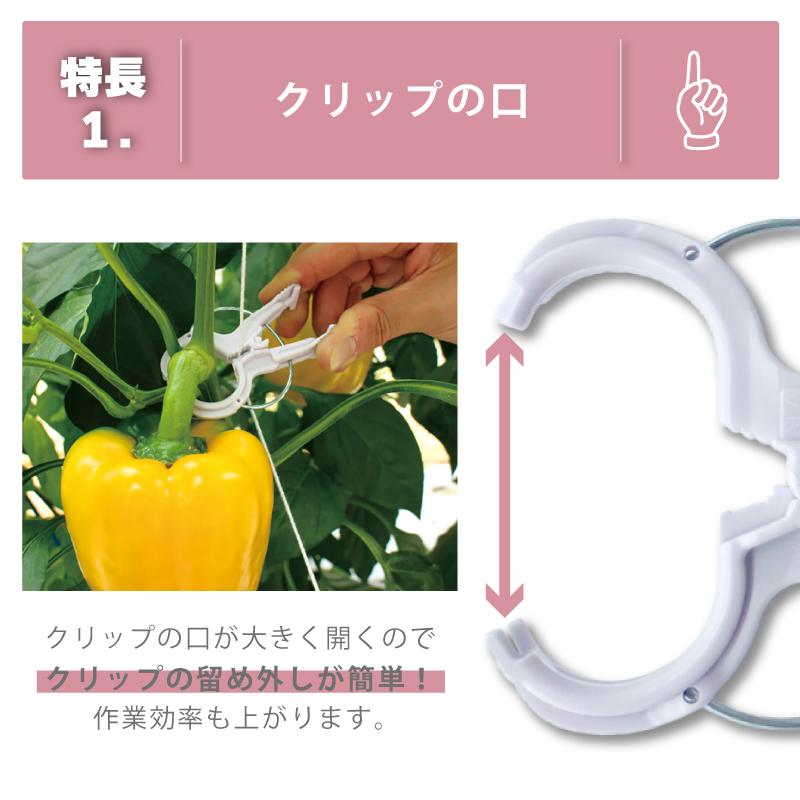 240個 くきたっちアルファ S パープル 薄紫 AS-P240 細紐用 紐誘引クリップ 誘引クリップ 誘引資材 誘引器具 誘引 クリップ キュウリ トマト 栽培 シーム タS DZ |  | 03