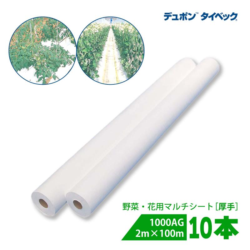 10本 タイベック マルチ 1000AG (厚手) 2m×100m 白 農業用 野菜 フルーツ 花卉 遮熱性 通気性 透湿性 アザミウマ対策 農業資材 カ施 個人宅配送不可 代引不可 | 