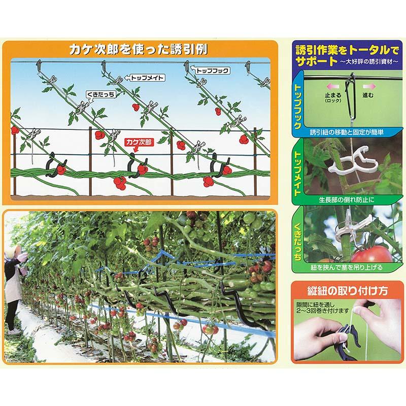 400個 (50個×8袋) たっぷり カケ次郎 KJR-50 シーム 誘引具 トマト誘引資材 タS 代引不可 |  | 02
