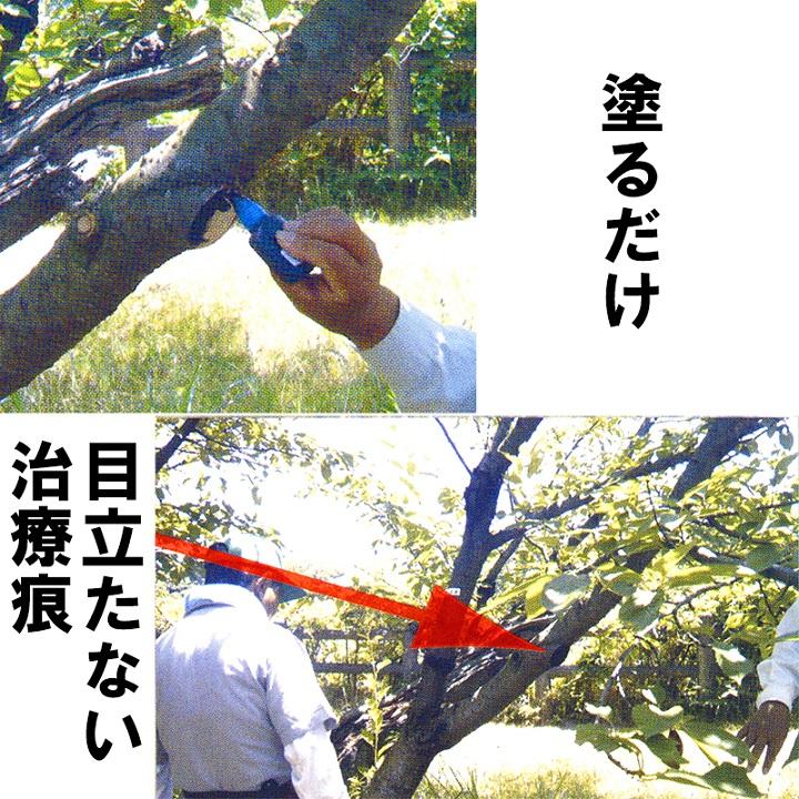 キニヌール 100ml 樹木 切り口 保護剤 樹木保護液 墨運堂 カS D |  | 04