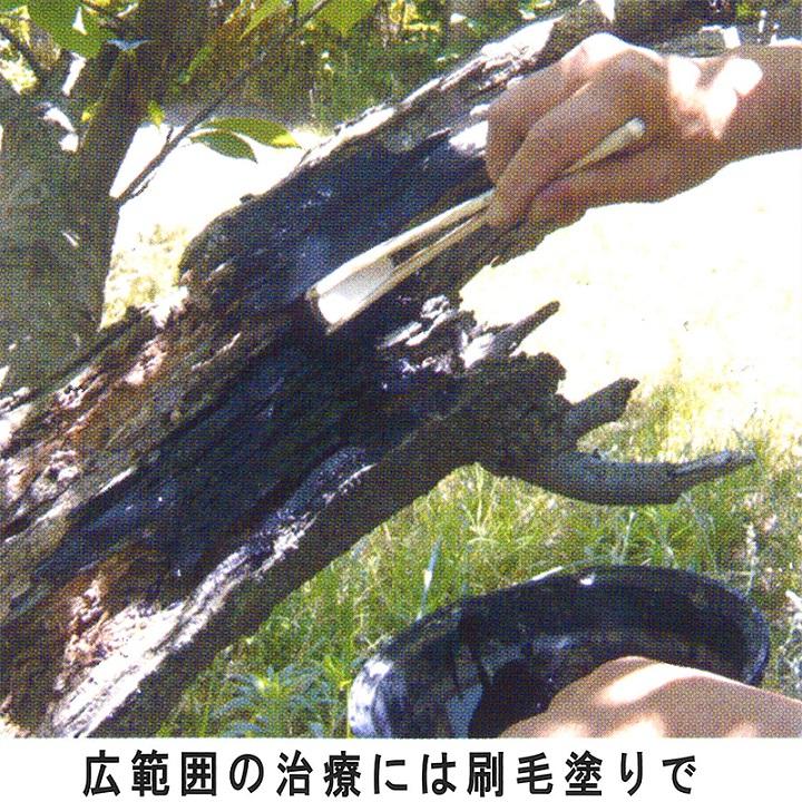 キニヌール 2L 樹木 切り口 保護剤 樹木保護液 墨運堂 カS D |  | 02