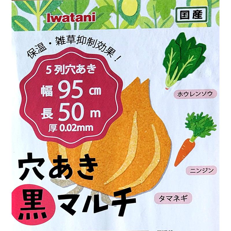 12本 イワタニ 菜園用 穴あき 黒マルチ 9515 0.02mm×95cm×50m オニオンマルチ たまねぎ にんじん ほうれんそう 用 国産 岩谷マテリアル 日A D |  | 03