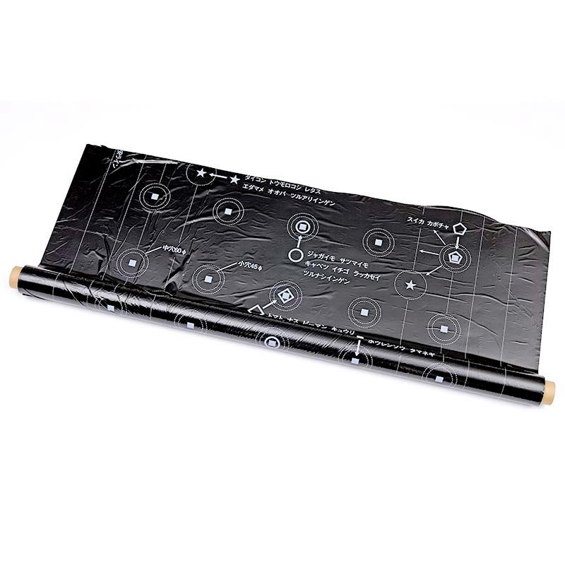 12本 黒 フリーマーク 黒マルチ 0.02mm×95cm×50m マルチ イワタニ タS 個人宅配送不可 北海道不可 代引不可 |  | 01