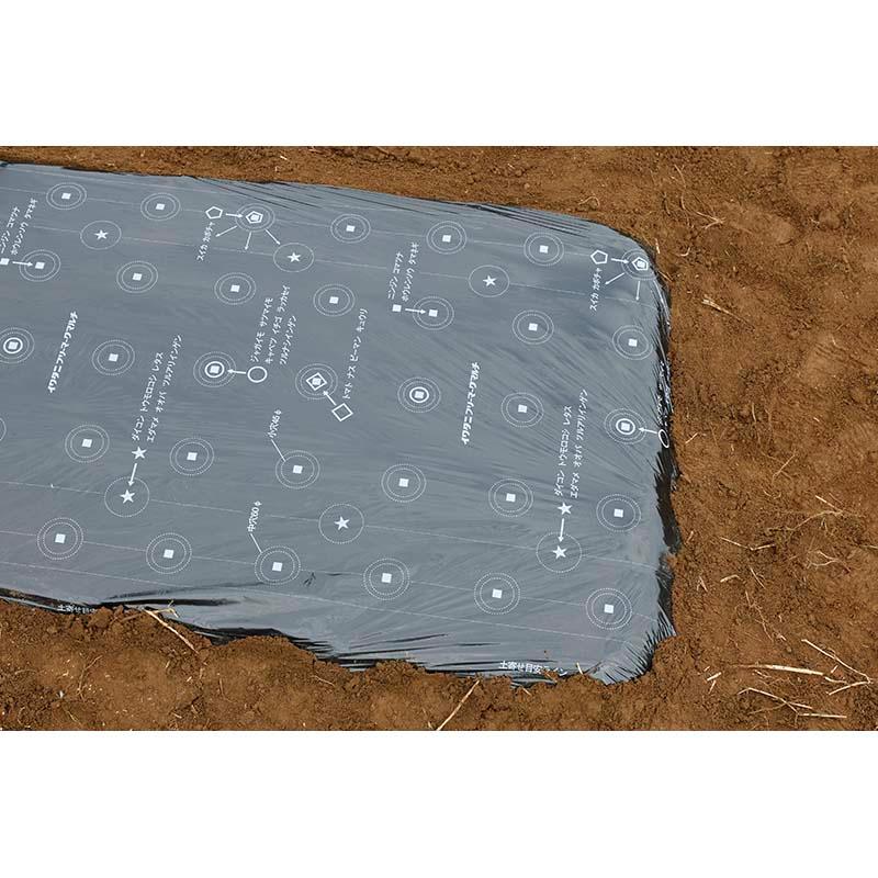 12本 黒 フリーマーク 黒マルチ 0.02mm×95cm×50m マルチ イワタニ タS 個人宅配送不可 北海道不可 代引不可 |  | 02