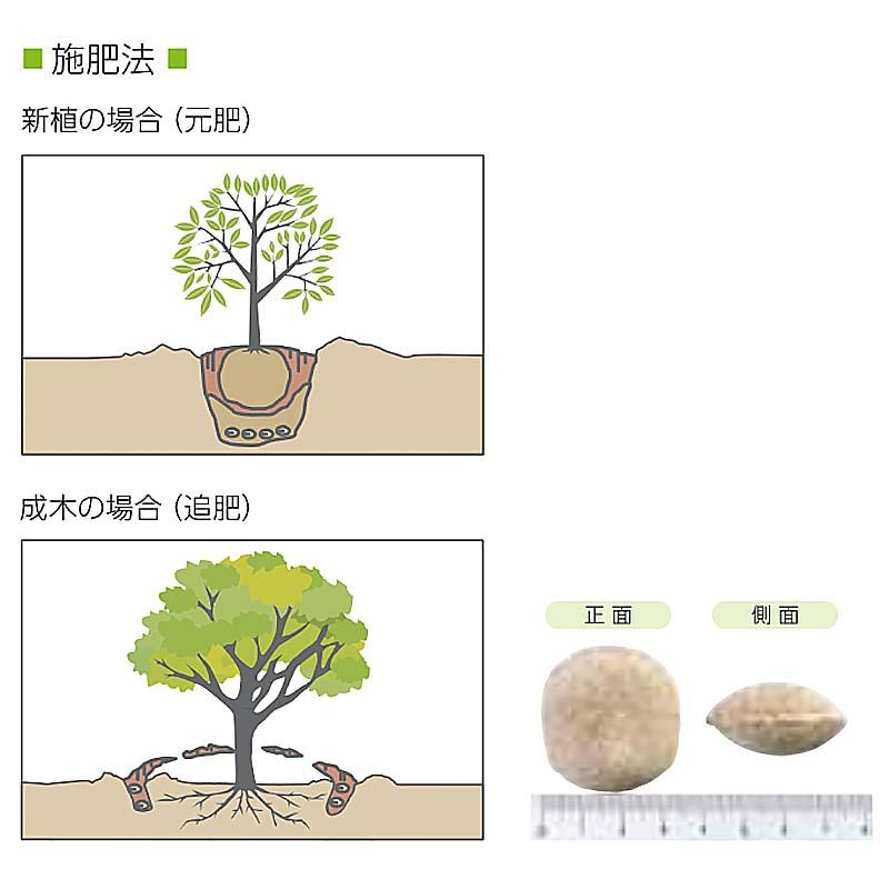 ウッドエース 4号 12-6-6-2 15kg 植林 緑化 用 IB肥料 成型肥料 ジェイカムアグリ タS D |  | 01