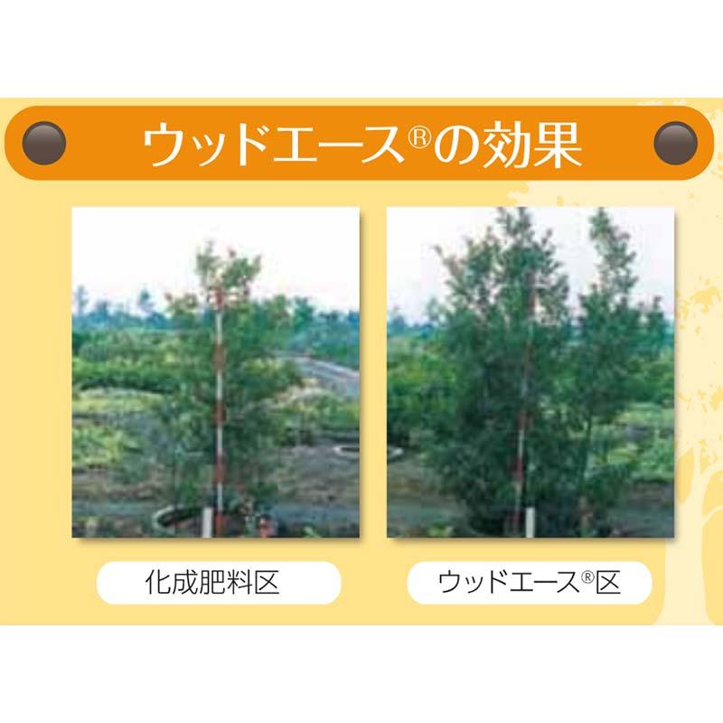 ウッドエース 4号 12-6-6-2 15kg 植林 緑化 用 IB肥料 成型肥料 ジェイカムアグリ タS D |  | 02