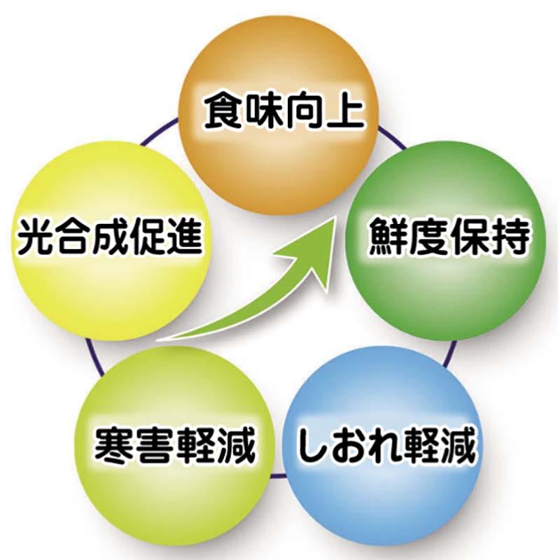 タキイ トレエース 500g 寒害対策 しおれ軽減 鮮度保持 トレハロース タキイ種苗 代引不可 |  | 03