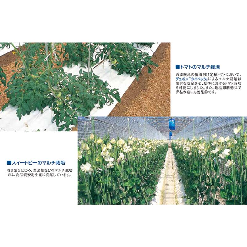 タイベック マルチ 700AG 1m×100m 白マルチ 農業用マルチ 野菜 フルーツ 花卉 遮熱性 通気性 透湿性 アザミウマ対策 農業資材 カ施 個人宅配送不可 代引不可 |  | 02