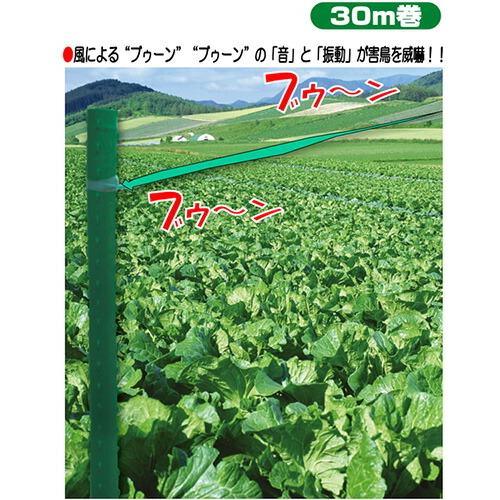 コンパル 鳴るテープ 30m巻 防鳥・忌避用品 音・振動が害鳥を威嚇 アサノヤ産業D | アサノヤ産業 | 01