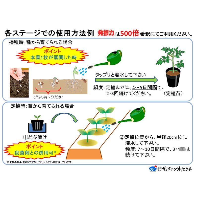 2個 発根力 10kg 発根促進剤 液肥 液体肥料 500倍希釈 10L 発根 促進 家庭菜園 ガーデニング 園芸 用品 資材 農業用品 農業資材 サングリーンオリエント タS DZ |  | 04
