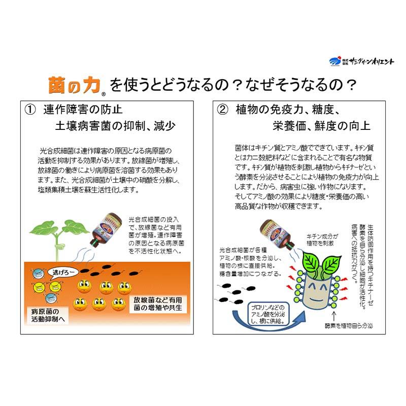 菌の力 20L 500倍希釈 土壌改善 成長促進 品質向上 サングリーンオリエント タS D |  | 01