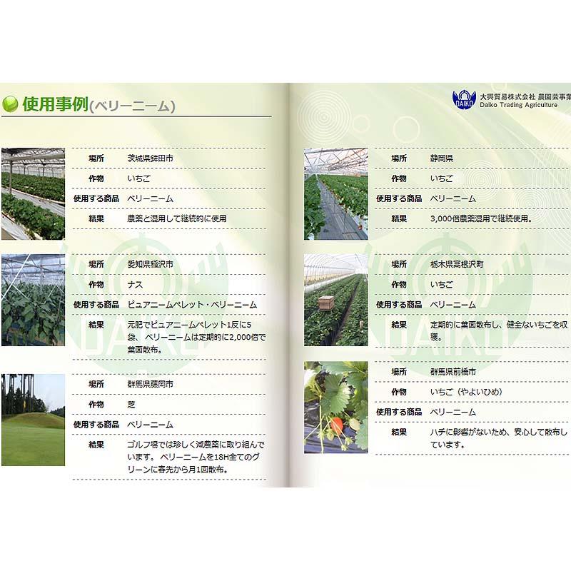 ダイコー ベリーニームV 2L 高濃度 ニームオイル 葉面散布 野菜 花卉 苺 イチゴ ナス 芝 農業 農業用品 園芸 ガーデニング 大興貿易 個人宅配送不可 代引不可 |  | 01