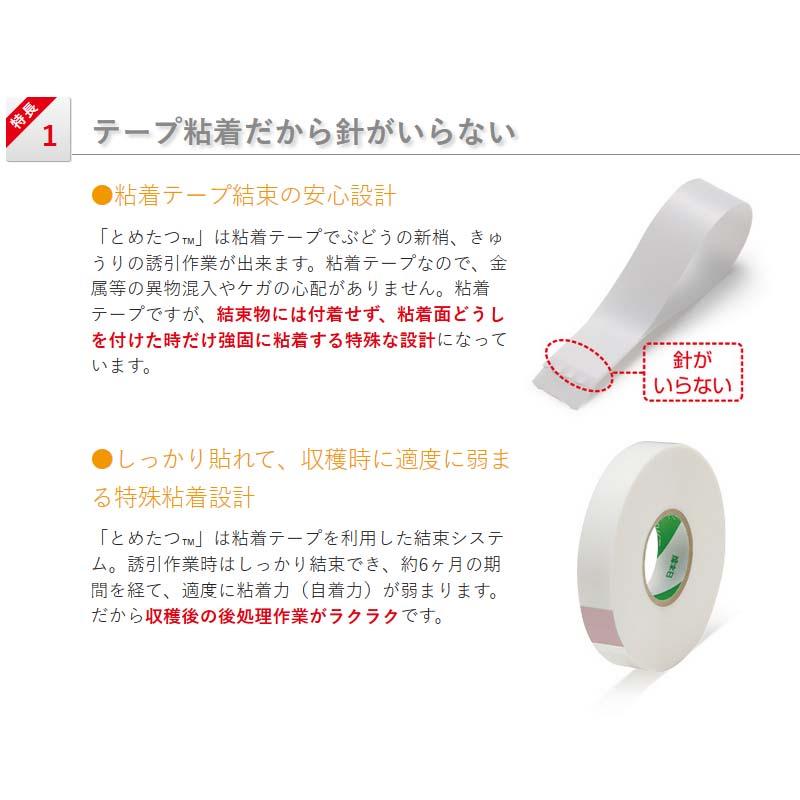 専用替テープのみ とめたつ テープ10巻入 誘引結束システム TMT111 ニチバン 日A DZ |  | 01