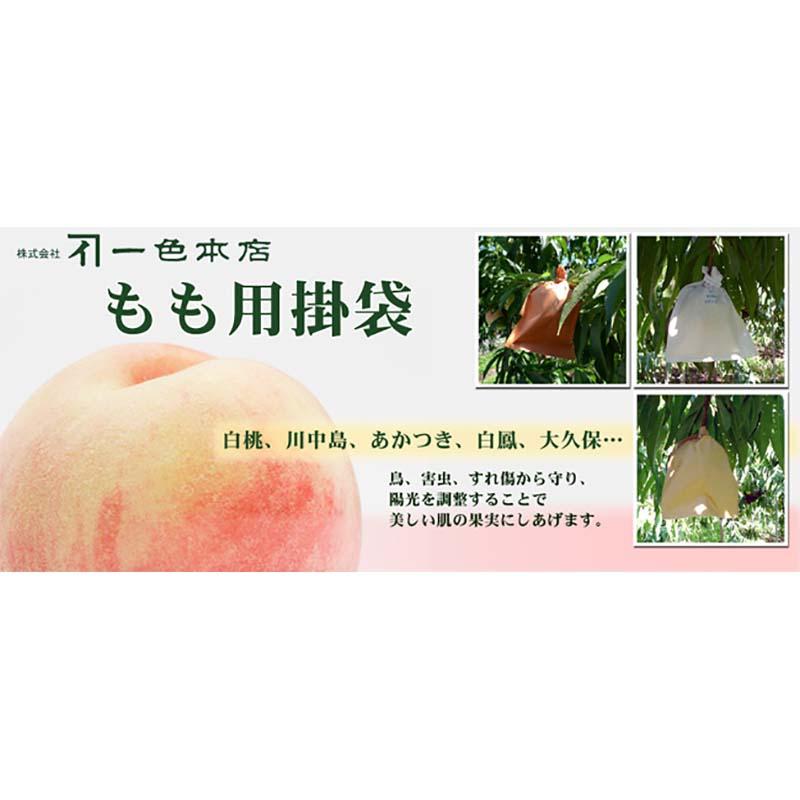 5000枚 果実袋 もも 桃用掛袋 #7 Vカット 早生桃袋 一重袋 100-707-211 桃 モモ 防虫 防傷 調光 一色本店 D |  | 01