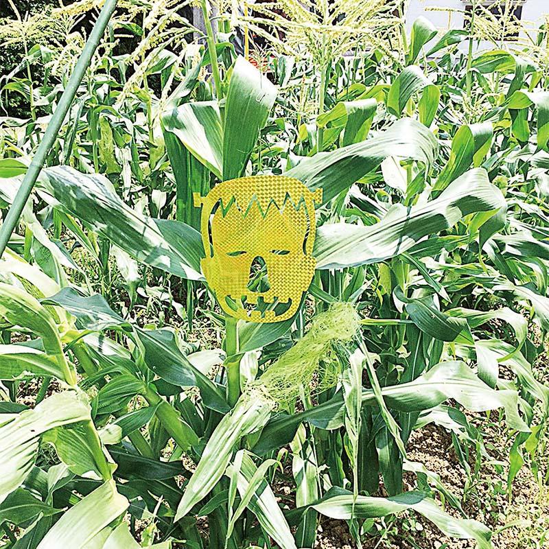 6箱 龍宝丸 キラキラバリアシート 用心棒 フランケン K-005 3枚入 防鳥 防獣 三冨D |  | 02