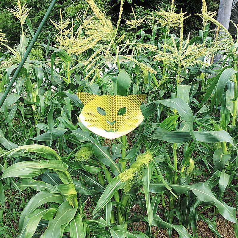 6箱 龍宝丸 キラキラバリアシート 猫キャット K-006 3枚入 防鳥 防獣 三冨D |  | 02