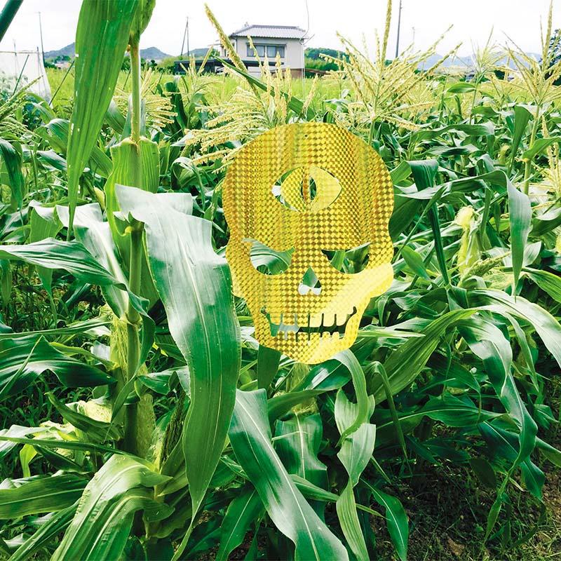 6箱 龍宝丸 キラキラバリアシート 踊るガイコツ K-007 3枚入 防鳥 防獣 三冨D |  | 02