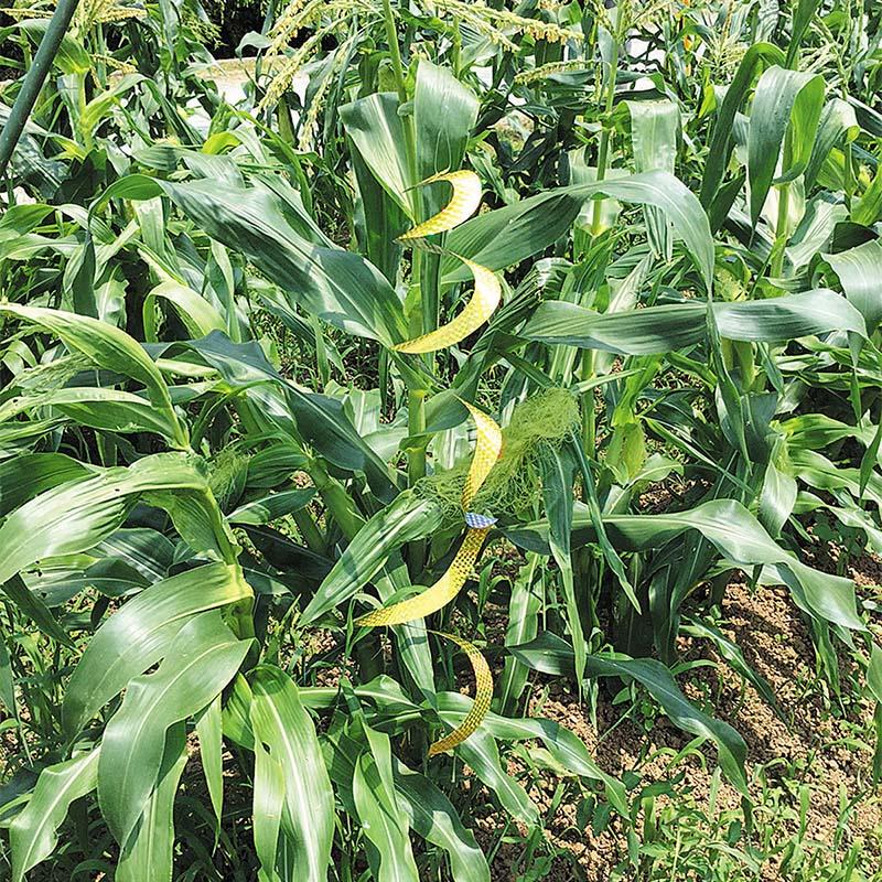 6箱 龍宝丸 キラキラバリアシート クルクルトルネード K-008 3枚入 防鳥 防獣 三冨D |  | 02