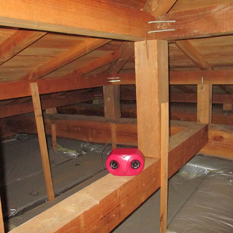 コンパル 乾電池式 ねずみ防除器 ネズミ対策 アサノヤ産業 DZ | アサノヤ産業 | 02