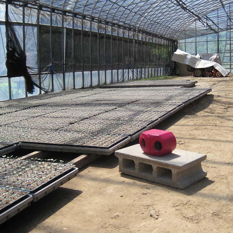 コンパル 乾電池式 ねずみ防除器 ネズミ対策 アサノヤ産業 DZ |  | 03