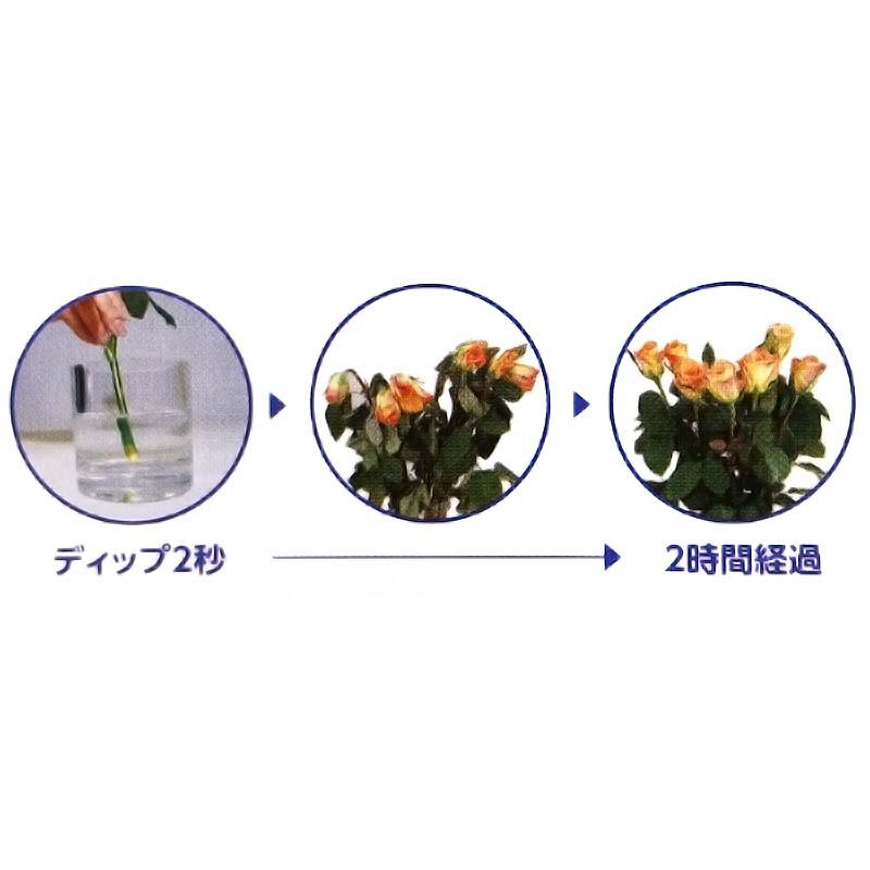 クイックディップ 20L 80-32025 鮮度保持剤 水揚げ剤 フローラライフ イP 代引不可 |  | 01